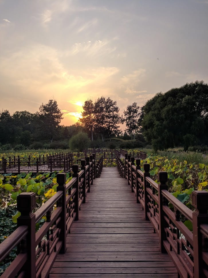 圆明园荷园里的廊桥